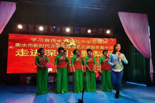 衡水市舉辦新時(shí)代文明實(shí)踐文藝志愿服務(wù)集中活動(dòng) 搭建文化藝術(shù)交流平臺(tái)